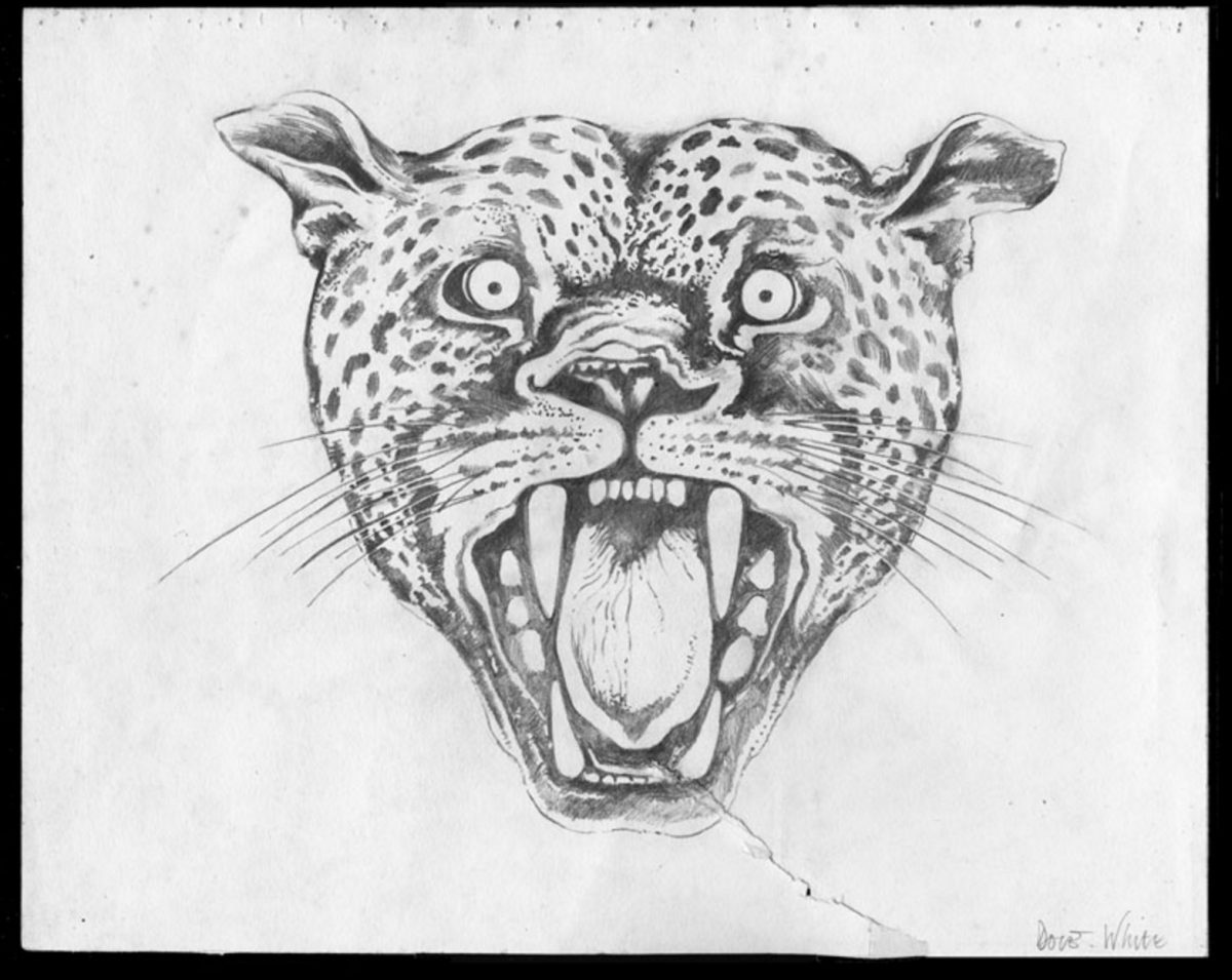 Original drawing by John Dove and Molly White