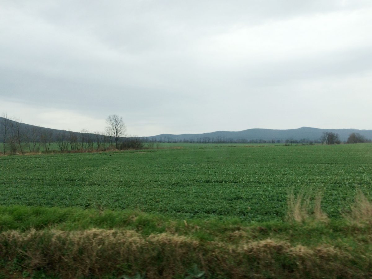 Eastern European road landscape